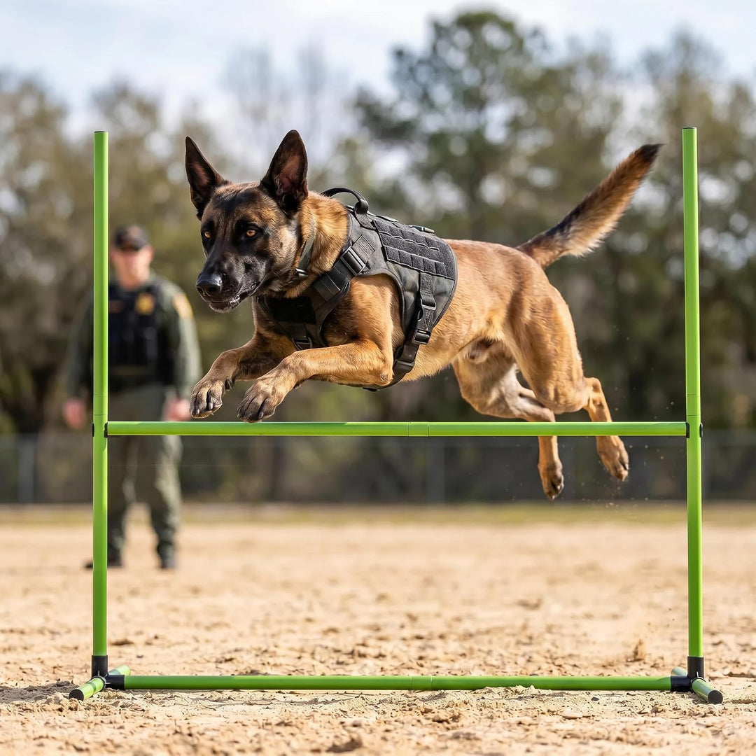 ACXIN Agility Set Hürdenset Hundetraining Zubehör mit 4 Stück Hürden, Slalom Stangen Agility-Ausrüst