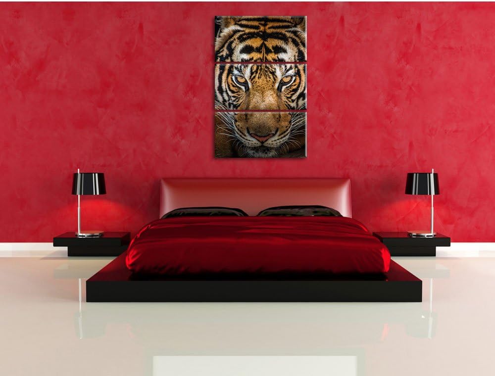 Pixxprint Tiger mit hellbraunen Augen als Leinwandbild | Grösse: 3 Teilig (120x80) | Wandbild| Kunst