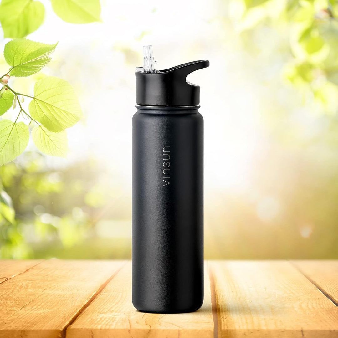 Vinsun Edelstahl Trinkflasche 750ml - Strohhalm, Trinköffnung, Drehverschluss - auslaufsicher, Kohle