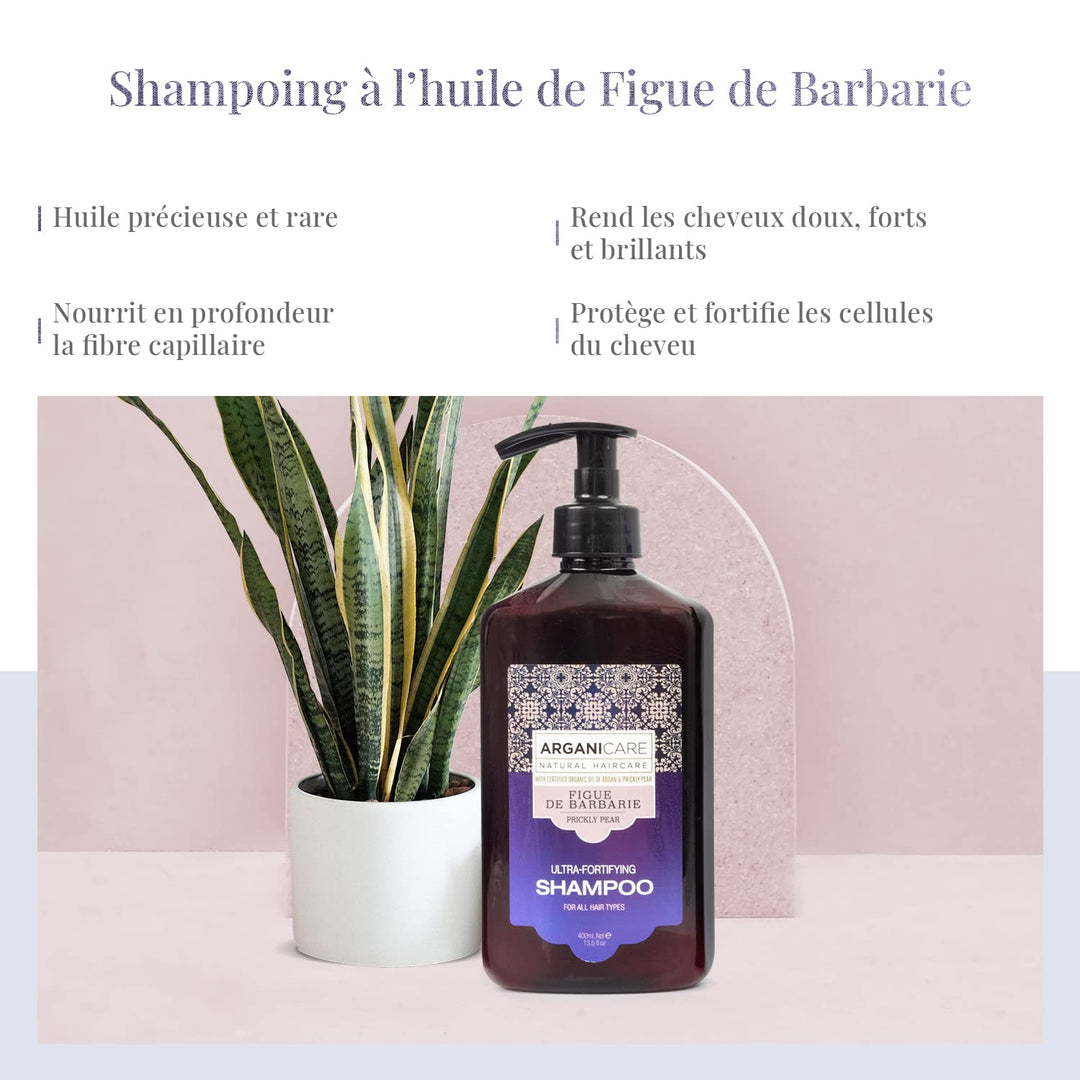Arganicare - Duo Magnificience mit Öl der Barbarie Feige – Shampoo 400 ml + Conditioner 400 ml
