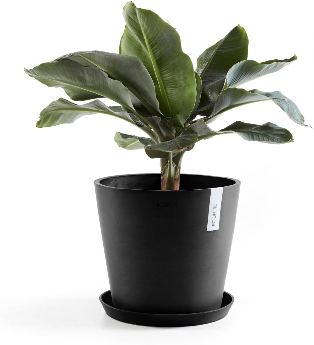 Ecopots Blumentopf Amsterdam Dunkel Grau - Durchmesser Ø 30 cm rund gross - Pflanzentopf aus Recycli