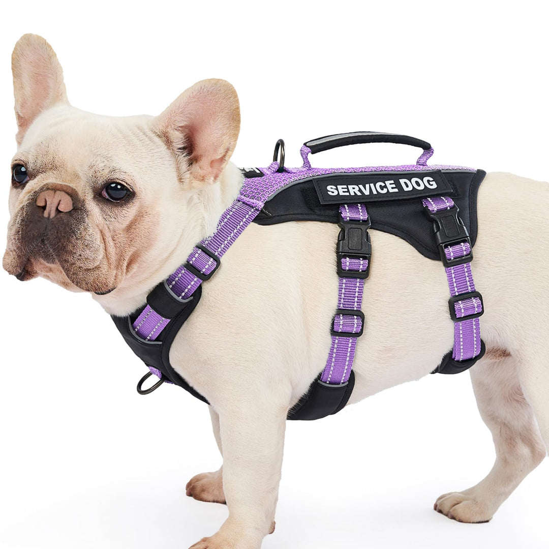 Huntboo Hundegeschirr Mittelgrosse Hunde, Sicherheitsgeschirr Hund Ausbruchsicher mit 6 Patches, Ser