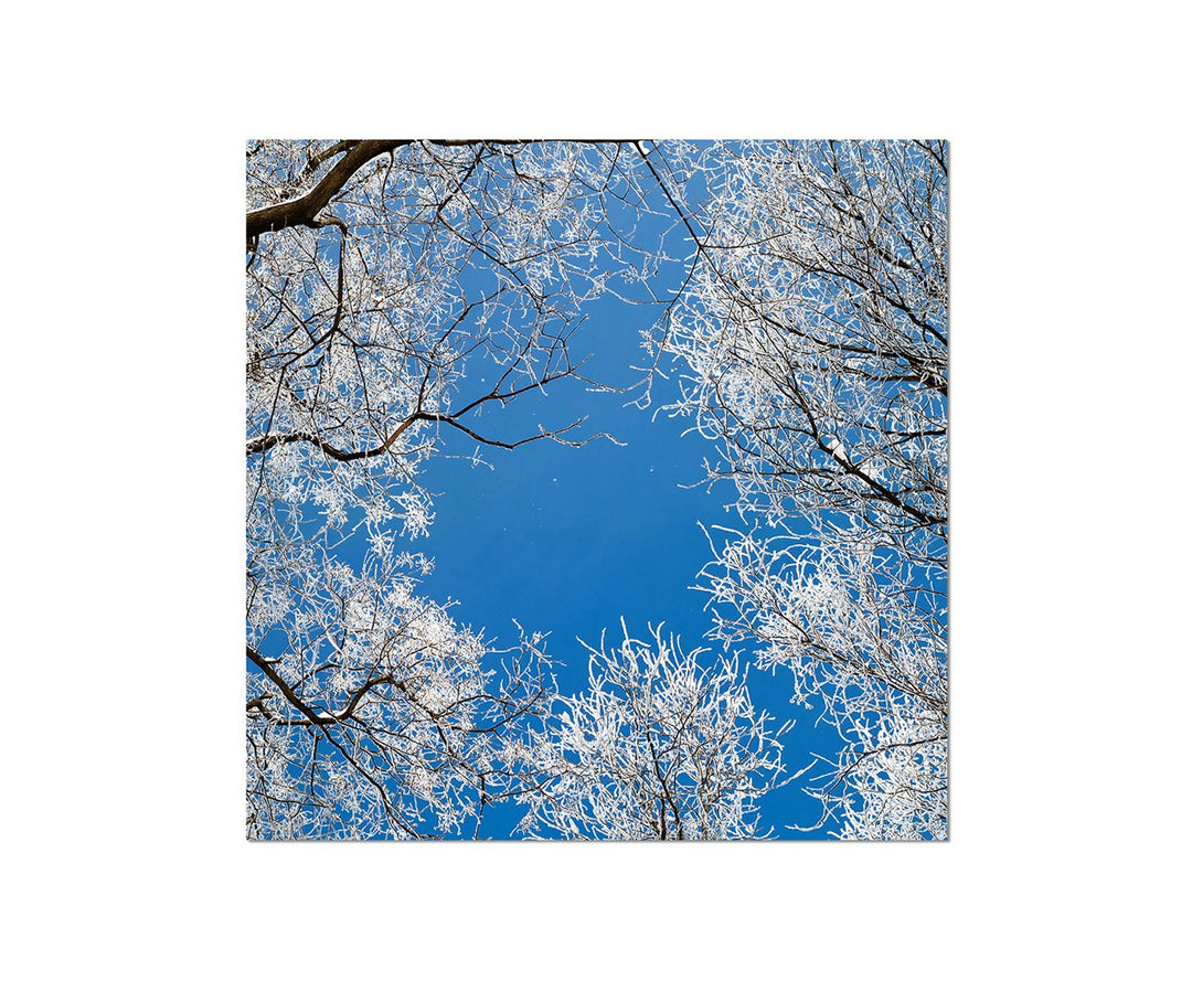 80x80cm - Fotodruck auf Leinwand und Rahmen Winterlandschaft Bäume Frost Schnee - Leinwandbild auf K