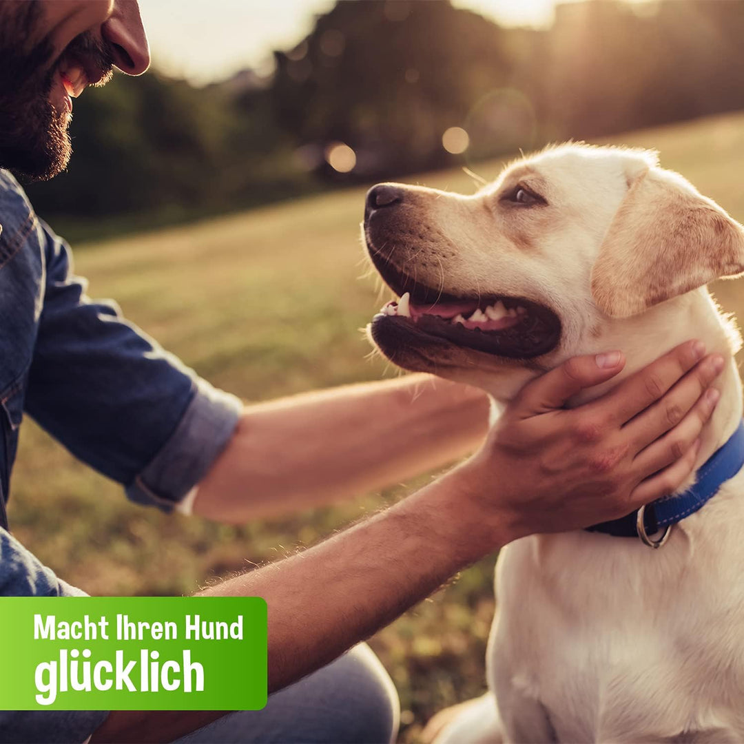 Schecker Nassfutter - 100% Pferd pur - getreidefrei - hypoallergen - echte, Reine Qualitätsware - 24