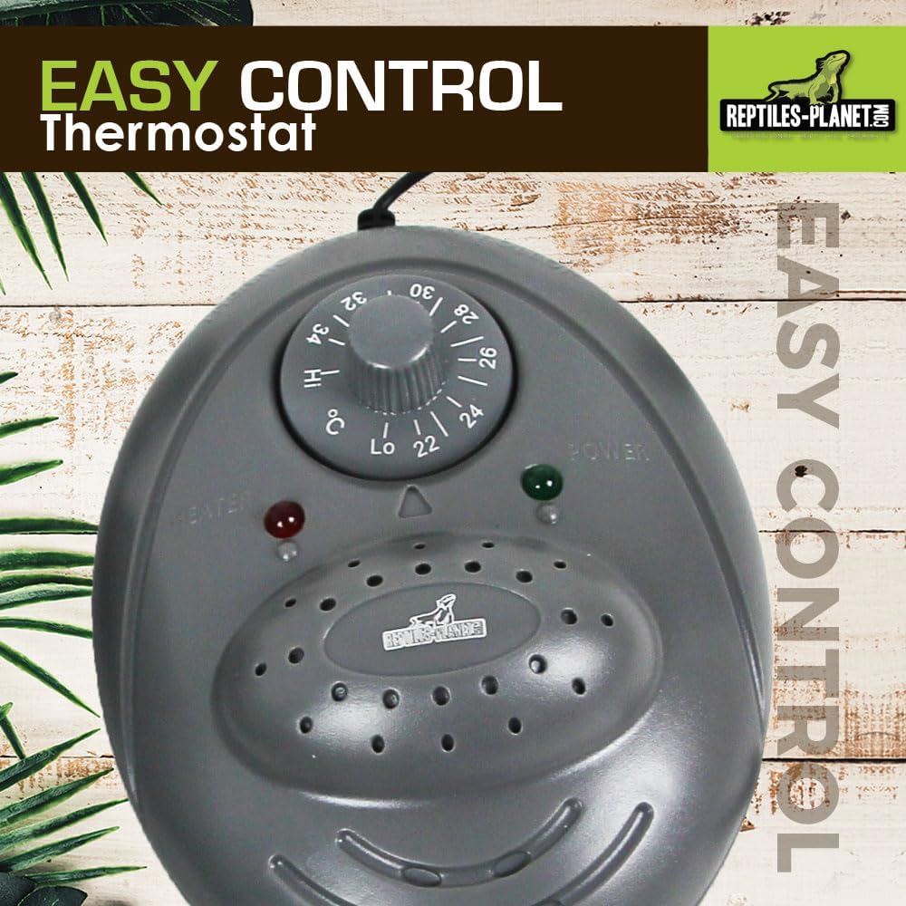Reptiles Planet Thermostat für Terrarium Reptilien Easy Control