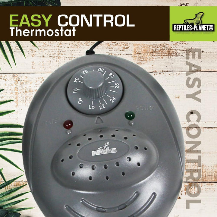 Reptiles Planet Thermostat für Terrarium Reptilien Easy Control