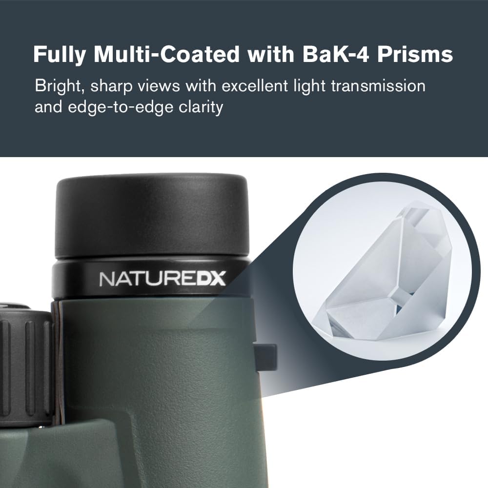 Celestron 71332 Nature DX 8 x 42 mm Ferngläser mit mehrfach vergütete Linse, BaK-4 Prismenlinse und
