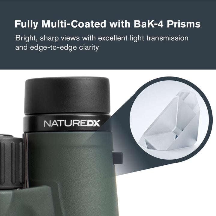Celestron 71333 Nature DX 10 x 42 mm Ferngläser mit mehrfach vergüteter Linse, BaK-4 Prismenlinse un