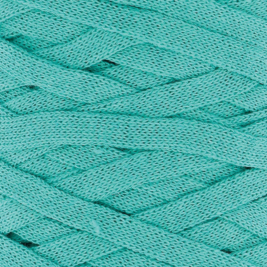 Hoooked Ribbon XL Bändchengarn Sparset aus 4 Rollen Wahl (Happy Mint), Happy Mint
