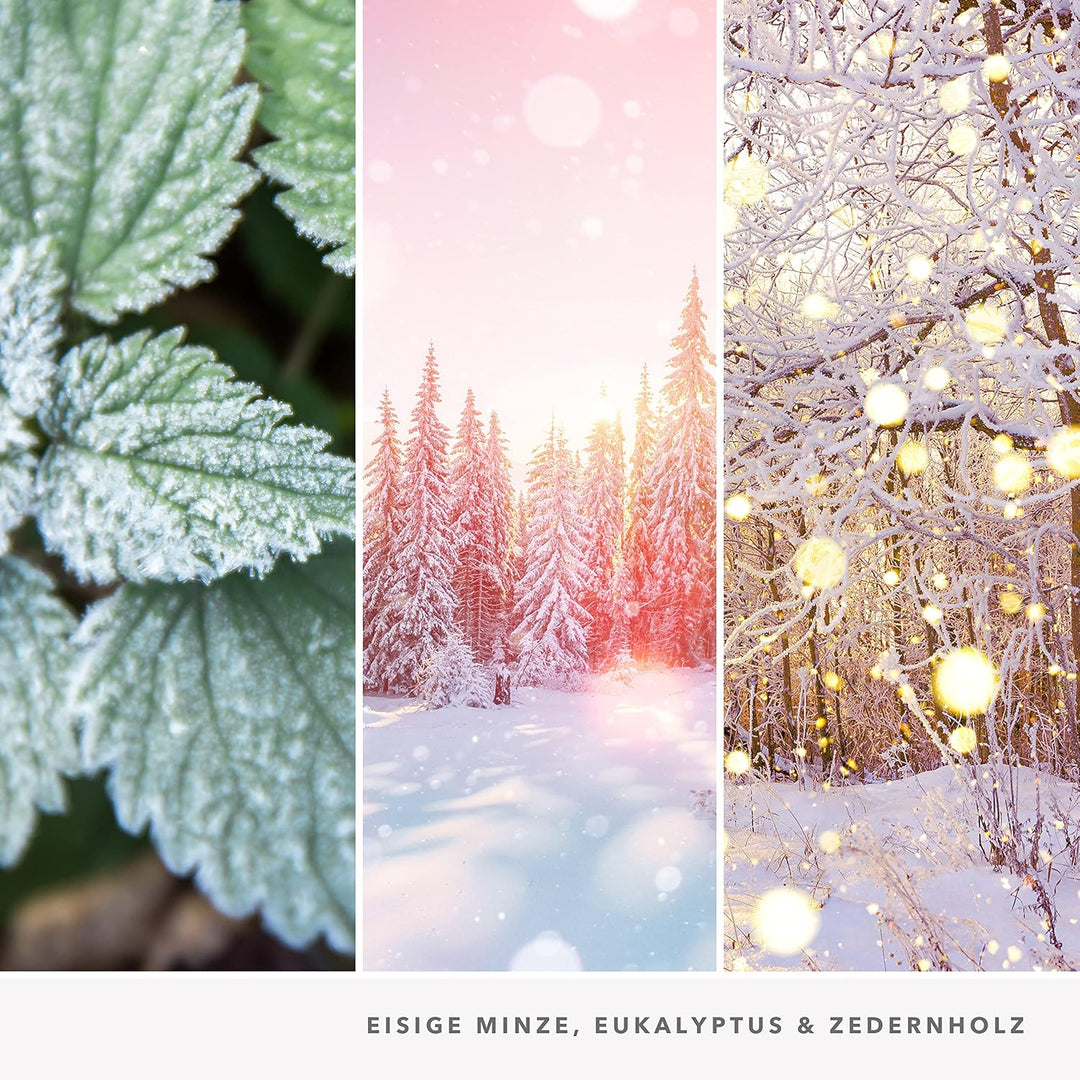 Yankee Candle Duftkerze | Grosse Snow Globe Wonderland Duftkerze im Glas | Snow Globe Wonderland Kol