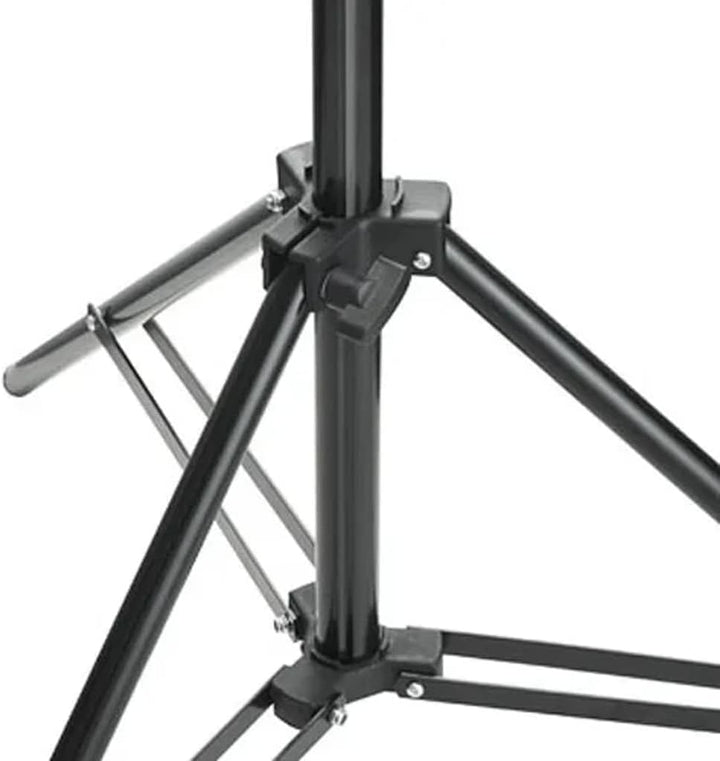 Fotostudio-Set mit Hintergrund, Beleuchtungssets, Stative, Schirme, 500 x 300 cm Baumwollhintergrund
