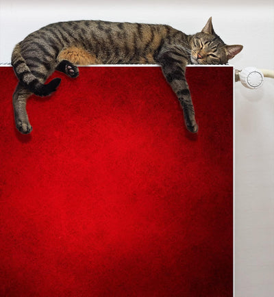 DarHaus Magnet Heizkörperverkleidung Heizkörperabdeckung Heizung Schutz, 80x60 Motiv ROT 80x60 cm, 8