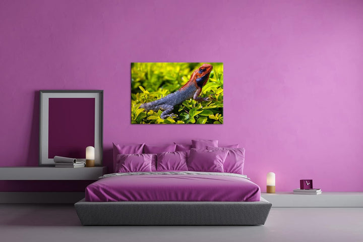 deyoli farbige Schuppen eines Reptil Format: 120x80 als Leinwandbild, Motiv fertig gerahmt auf Echth