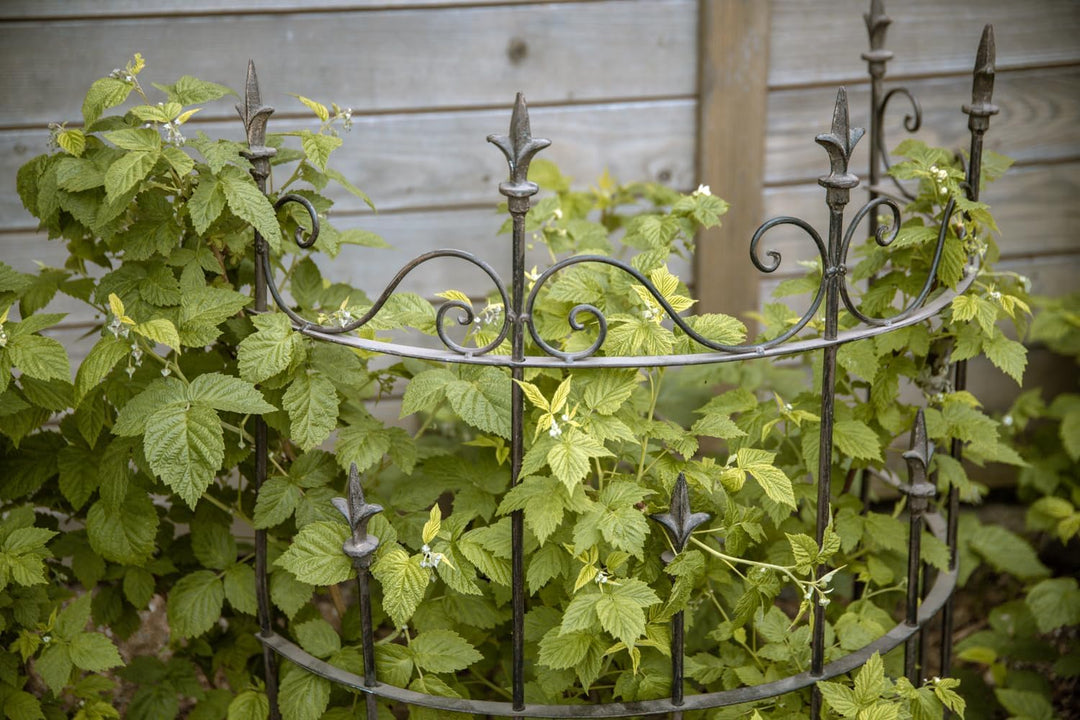 ecosoul Staudenhalter Strauchhalter halbrund Rankhilfe Metall Eisen Rostfarben Deko 80cm hoch 59 cm