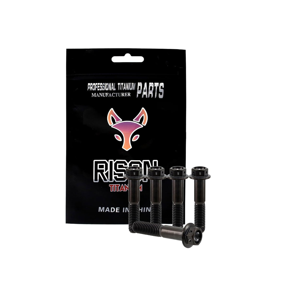 RISON Titanium Bolzen M6x1.0x25mm Titan Flansch Schrauben TC4 Titan Schrauben Sechskantschraube Schw