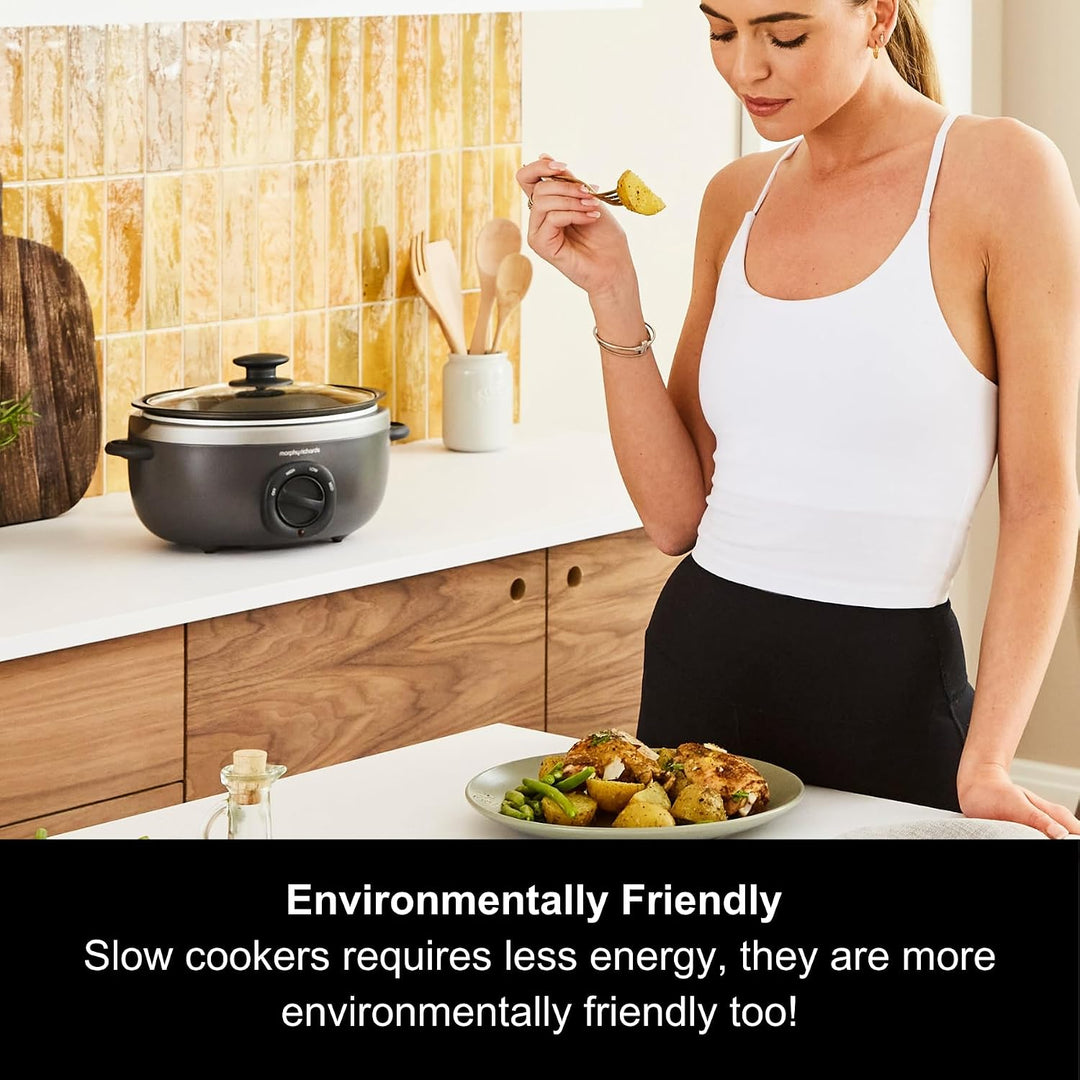 Morphy Richards 460022 Anbraten und Eintopfen 3,5 Liter Oval Slow Cooker Titan 3.5L Titan