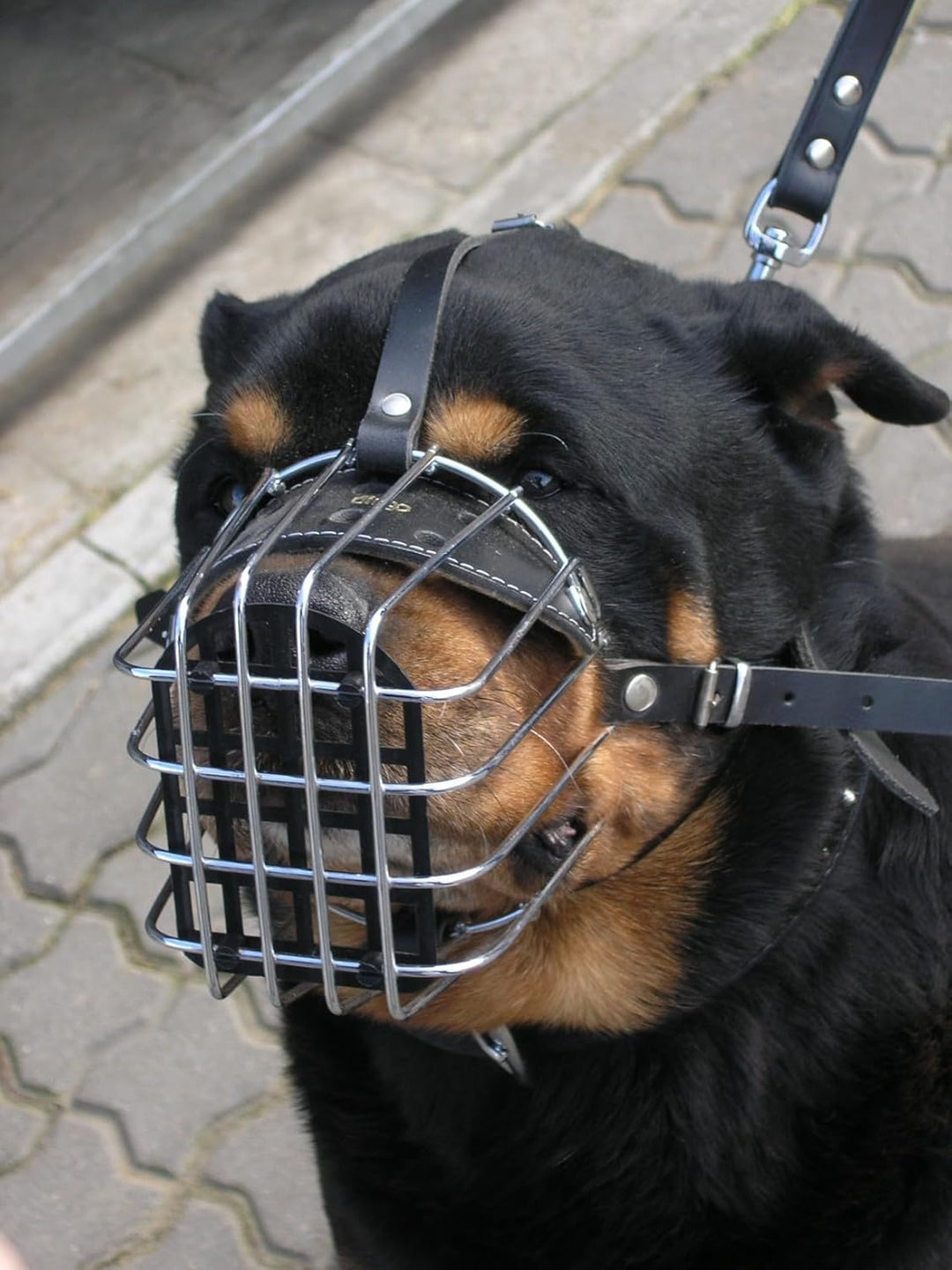 Dingo Mettal Maulkorb mit Kunststoffgitter Nr.7a Drahtmaulkorb für Hundetraining Handarbeit leicht K