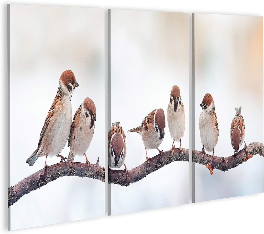 islandburner Bild auf Leinwand Spatzen Auf Einem Zweig Sitzend Panoramabild Bilder Wandbilder Poster