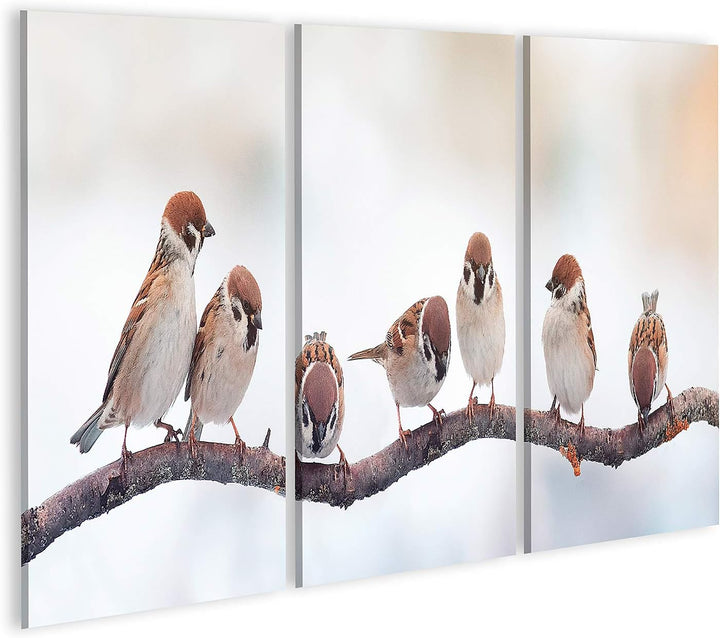 islandburner Bild auf Leinwand Spatzen Auf Einem Zweig Sitzend Panoramabild Bilder Wandbilder Poster