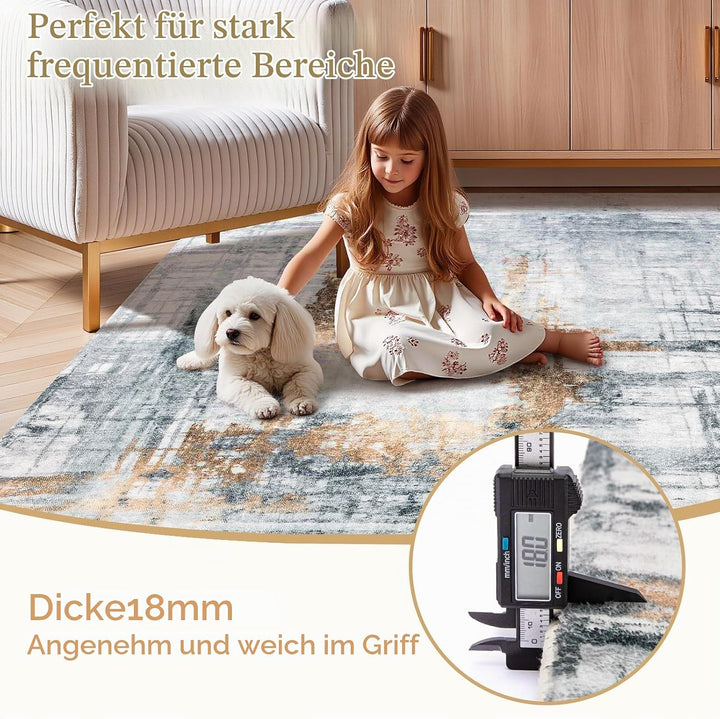 Tinyboy-hbq Teppiche Modern Designer für Wohnzimmer Kurzflor Teppich für Wohnzimmer Schlafzimmer Gra