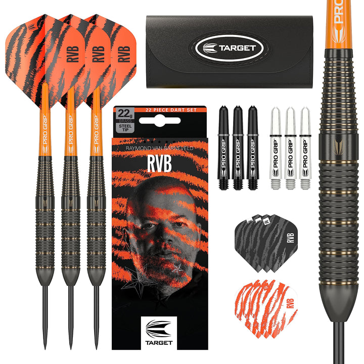Target Raymond Van Barneveld RVB Brass - Steeldarts 22 Gramm