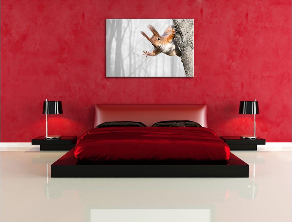 Pixxprint Neugierig rotes Eichhörnchen / 100x70cm Leinwandbild bespannt auf Holzrahmen/Wandbild Kuns