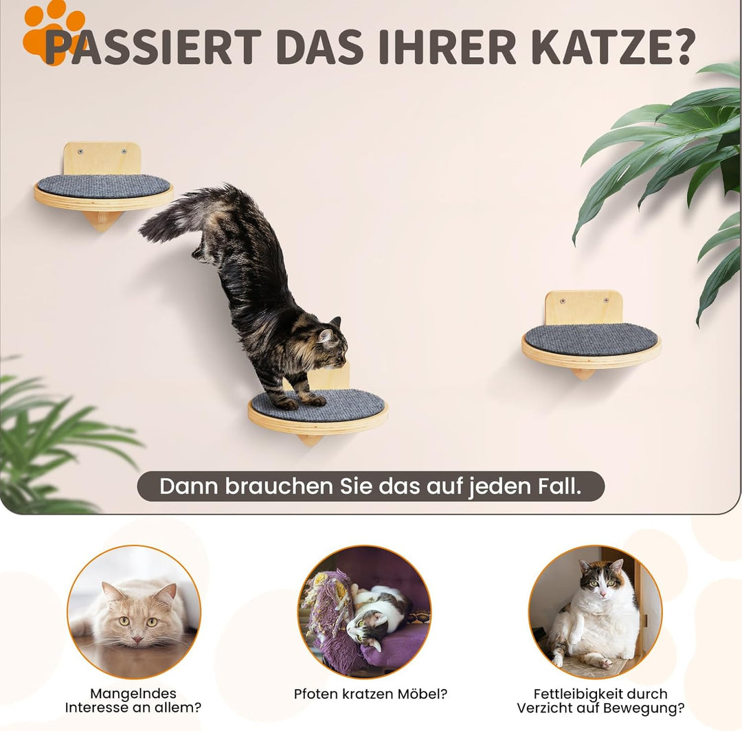 XL Premium Kletterwand Katzen aus Birkenholz | 3er-Set Katzentreppen mit Kratzflächen | Wandmontage