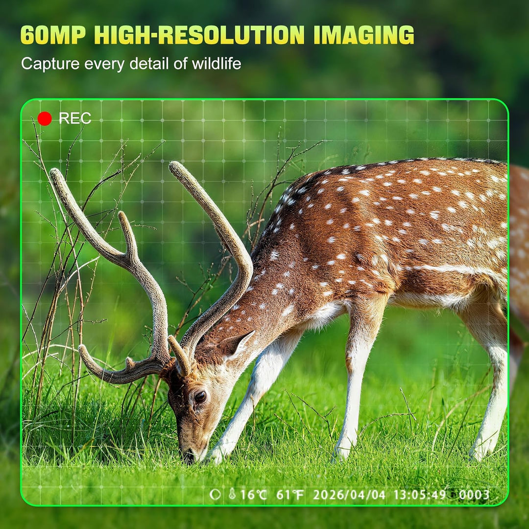Wildkamera 60MP, 0,1 s Auslösegeschwindigkeit, 120° Weitwinkel, Wildtierkamera mit 850 nm IR LEDs, W