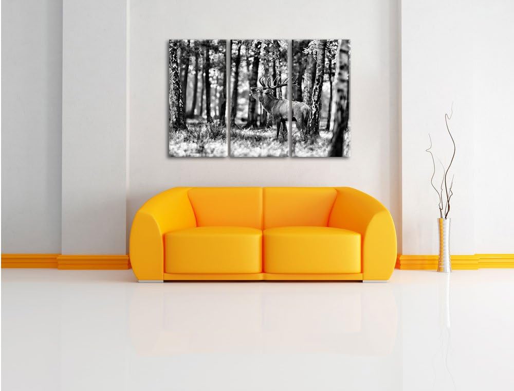 Pixxprint Hirsch im Wald als Leinwandbild | Grösse: 3 Teilig (120x80) | Wandbild| Kunstdruck | ferti