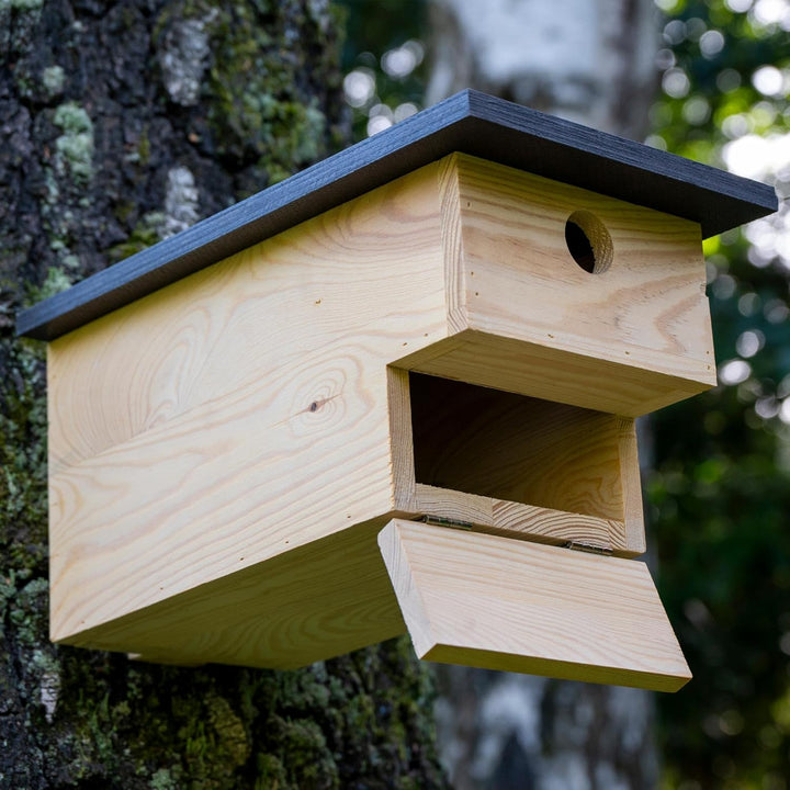 dobar® Grosser Nistkasten für Höhlenbrüter mit Räuberschutz -Vogelbrutkasten für Meisen und Sperling