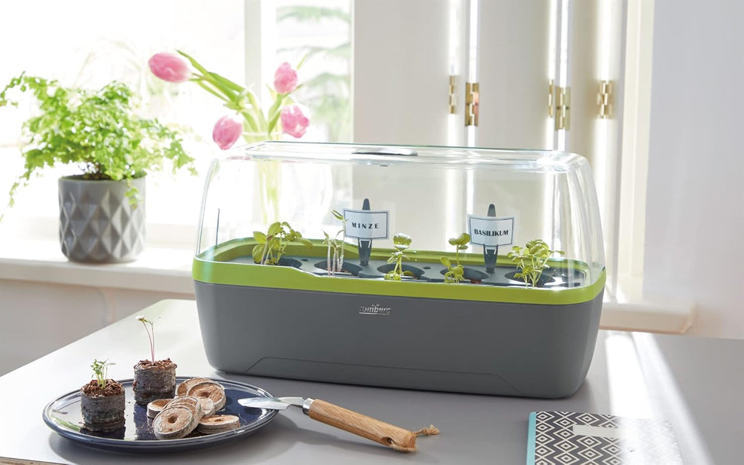 Romberg BoQube L Plus (Pflanzsystem, Farbe Anthrazit-Sommergrün, PAK-frei, lebensmittelecht, mit Bel