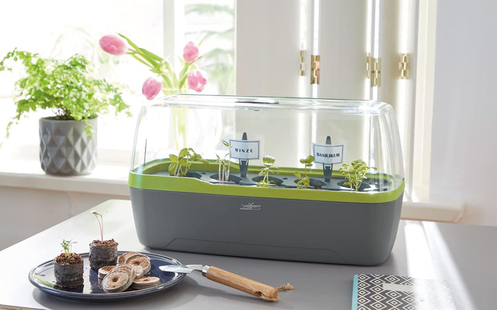 Romberg BoQube L Plus (Pflanzsystem, Farbe Anthrazit-Sommergrün, PAK-frei, lebensmittelecht, mit Bel