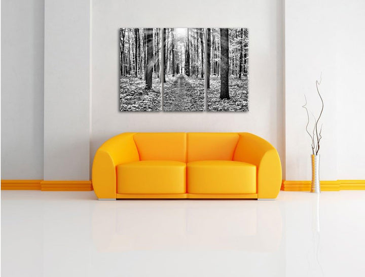 Pixxprint Sonnenlicht Wald / 3-Teilig/Gesamtmass 120cm Leinwandbild bespannt auf Holzrahmen/Wandbild