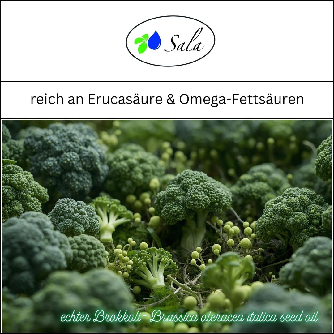 Sala Brokkolisamenöl kaltgepresst BIO 100 ml Taschenflasche Brokkolisamenöl kaltgepresst bio 100 ml