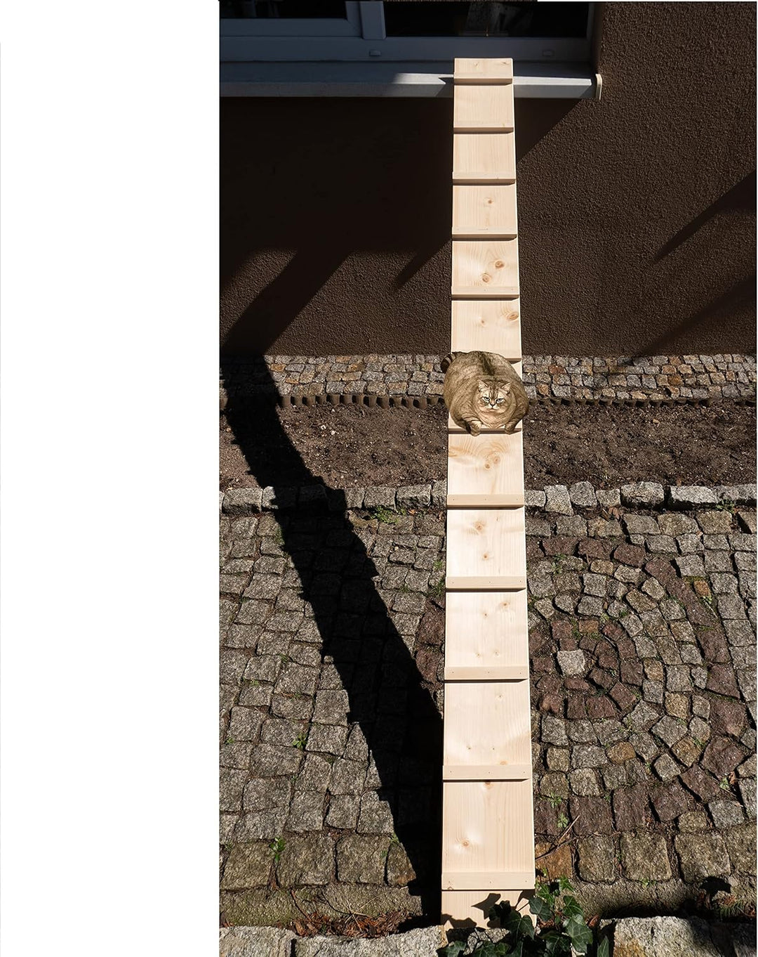 Katzenleiter Katzentreppe Katzenstufe für Balkon Treppe ohne Befestigung 1m lang