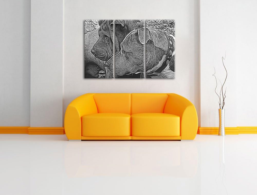 zwei Hunde im Profil NewArt 3-Teiler Leinwandbild 120x80 Bild auf Leinwand, XXL riesige Bilder ferti