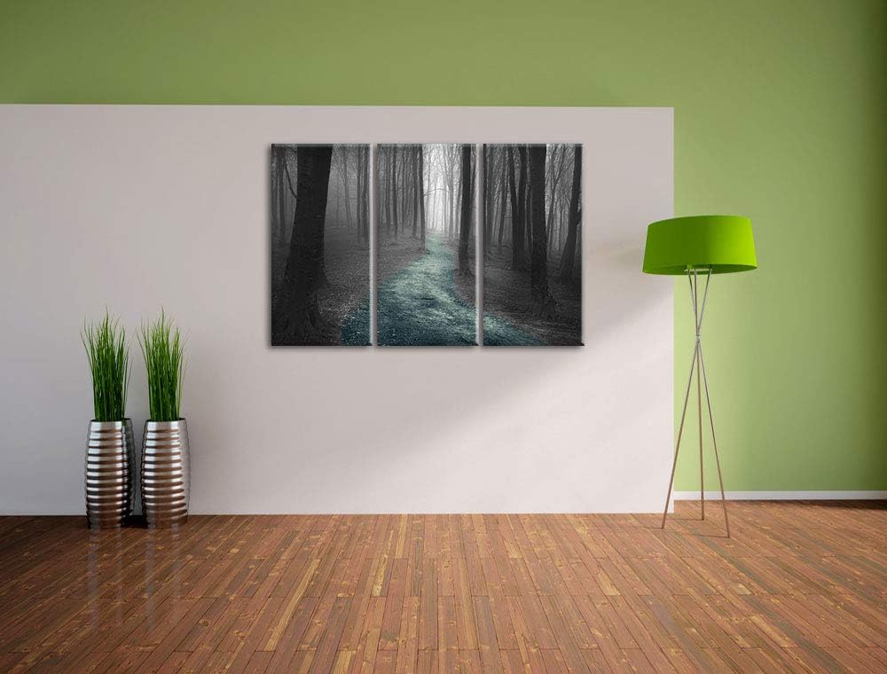 Pixxprint Einsamer Weg im Wald als Leinwandbild | Grösse: 3 Teilig (120x80) | Wandbild| Kunstdruck |