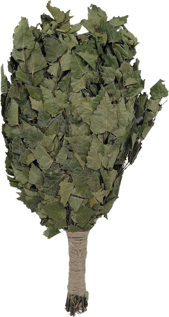 Dufte Momente 5 x Sauna Birken Reisig - jeder Reisig einzeln verpackt luftgetrocknet ca. 190g Birken