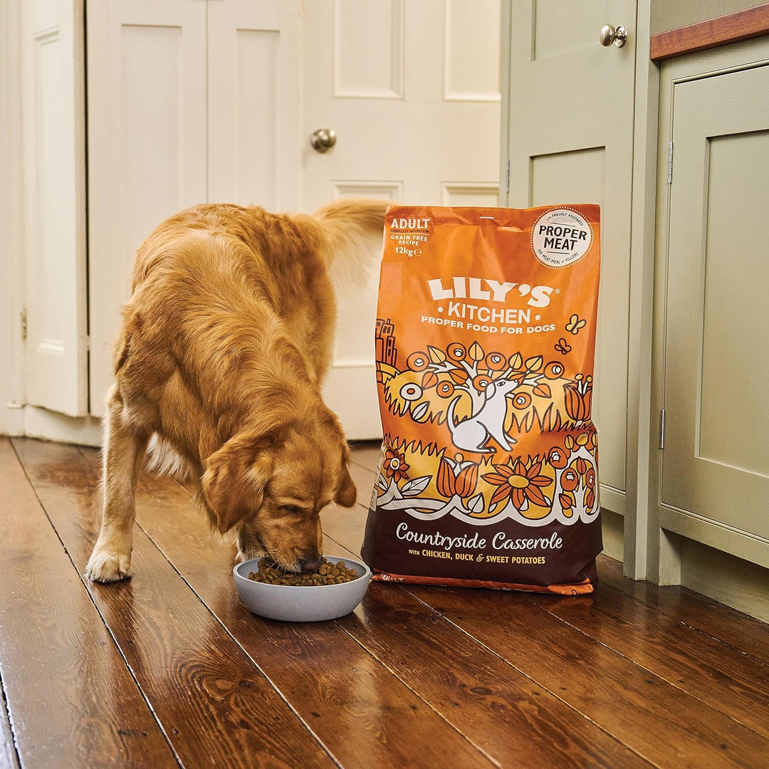 Lily's Kitchen natürliches Trockenfutter für ausgewachsene Hunde Huhn und Ente Getreidefreies Rezept