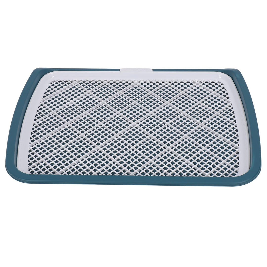 GLOGLOW Hundetoilette mit Gitter für Welpen, Abnehmbare Trainingsschale, 50 x 66 x 5 cm, Blau BLUE,