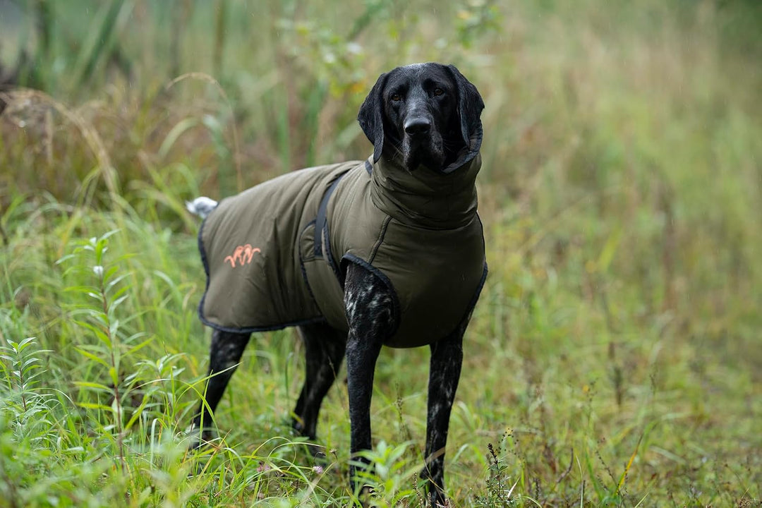 Blaser Hunde-Poncho | Wasserdichter Hundemantel mit Fleece-Futter | Reflektoren &amp; Verstellbarer Bauc
