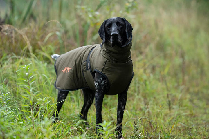 Blaser Hunde-Poncho | Wasserdichter Hundemantel mit Fleece-Futter | Reflektoren &amp; Verstellbarer Bauc