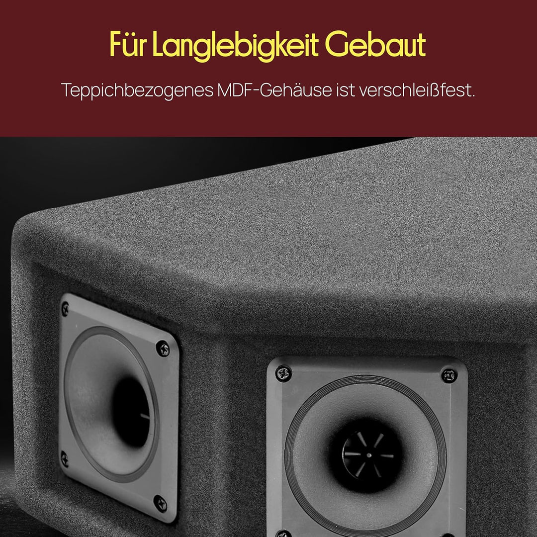PylePro 300 Watt DJ Lautsprecher Boxen, Party Lautsprecher Passiv Robuste PA Box als Musikanlage 6-W