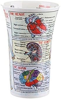 Dunoon, Trinkbecher, Glencoe, Biologie, porzellan, Bodyworks, Einheitsgrösse Knochenporzellan, Knoch