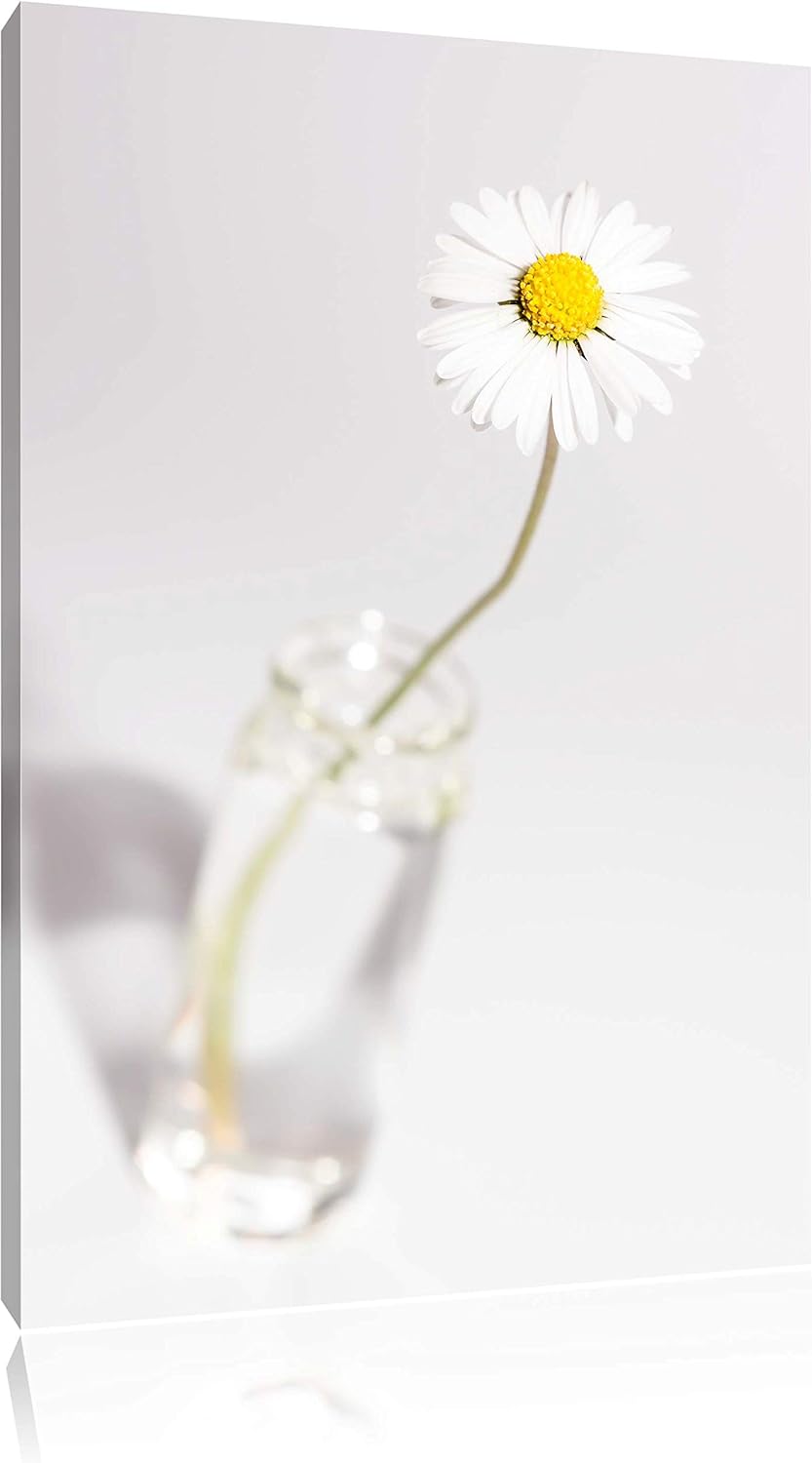 Pixxprint kleines Gänseblümchen im Glas auf Leinwand, XXL riesige Bilder fertig gerahmt mit Keilrahm