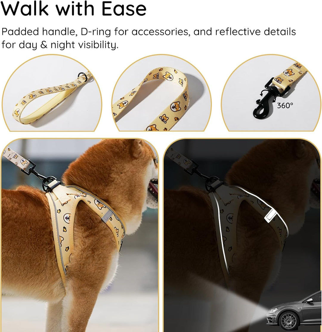 BELLA & PAL Hundegeschirr Kleine Hunde mit Leine, Step-in Geschirr aus Air Mesh, Anti Zug Reflektier