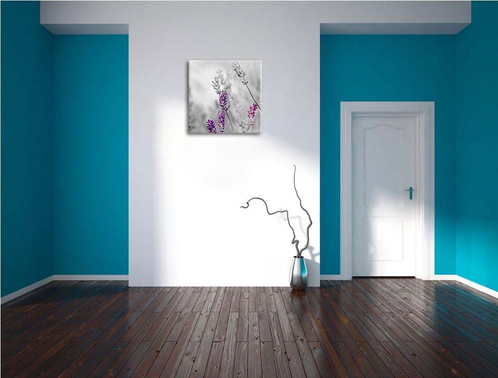 Pixxprint schöner Lavendel als Leinwandbild Quadratisch/Grösse: 70x70 / Wandbild/Kunstdruck/fertig b