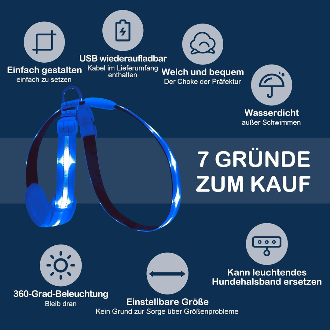 Beleuchtetes Hundegeschirr LED, Wiederaufladbar, Für Nachtspaziergänge Blau, M M Blau, M Blau