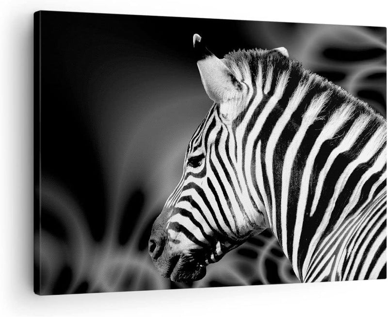 Bilder auf Leinwand Tier Zebra Streifen Leinwandbild mit Rahmen 70x50cm Wandbilder Dekoration Wohnzi