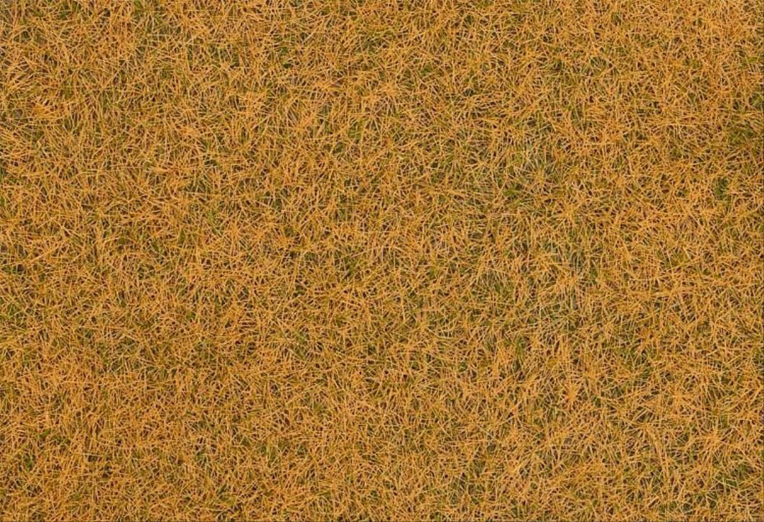 Faller 170260 Streufasern Wildgras, verdorrt, 4 mm, 1 kg
